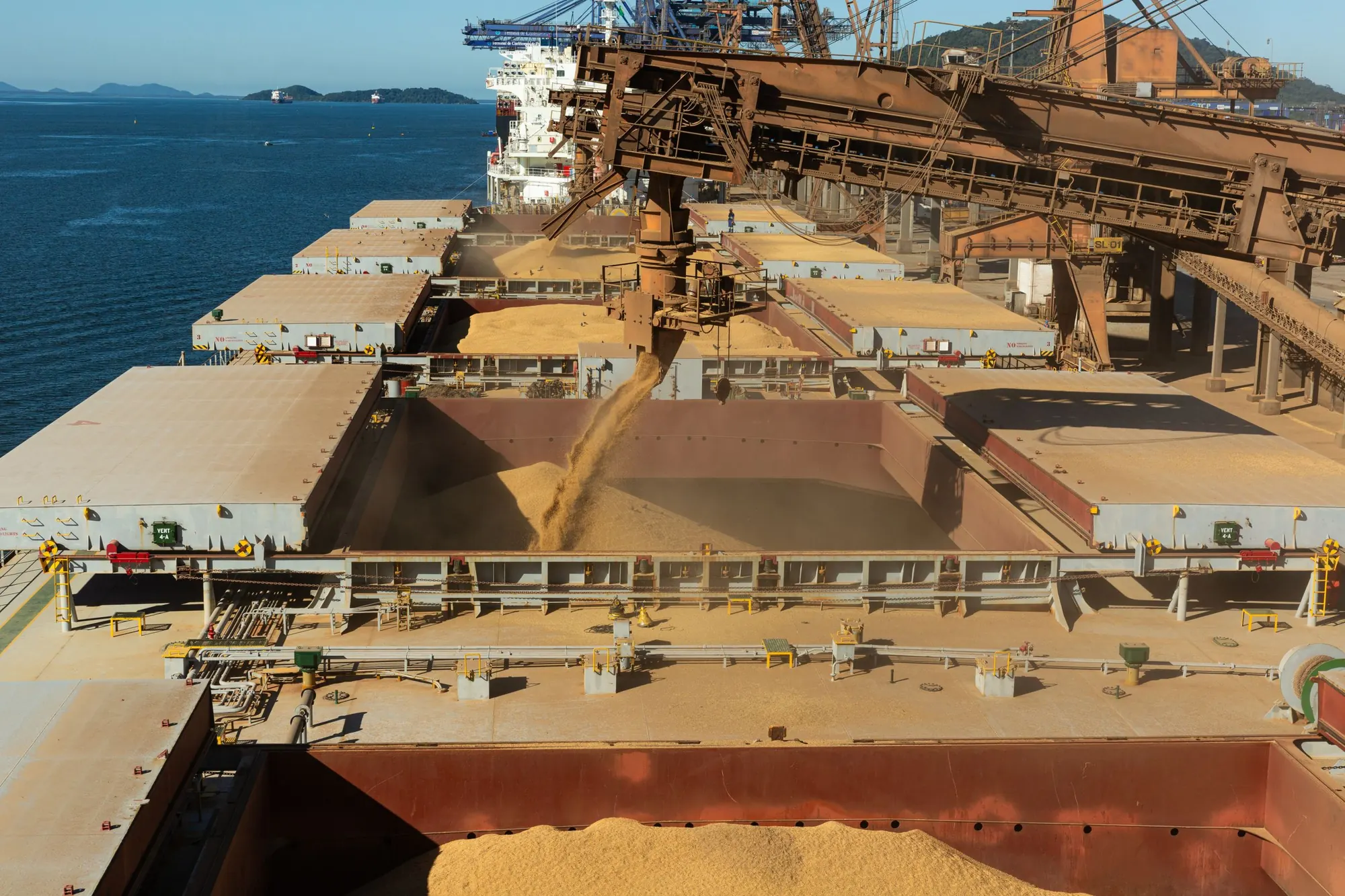 Grain pouring into the holds of a bulk carrier